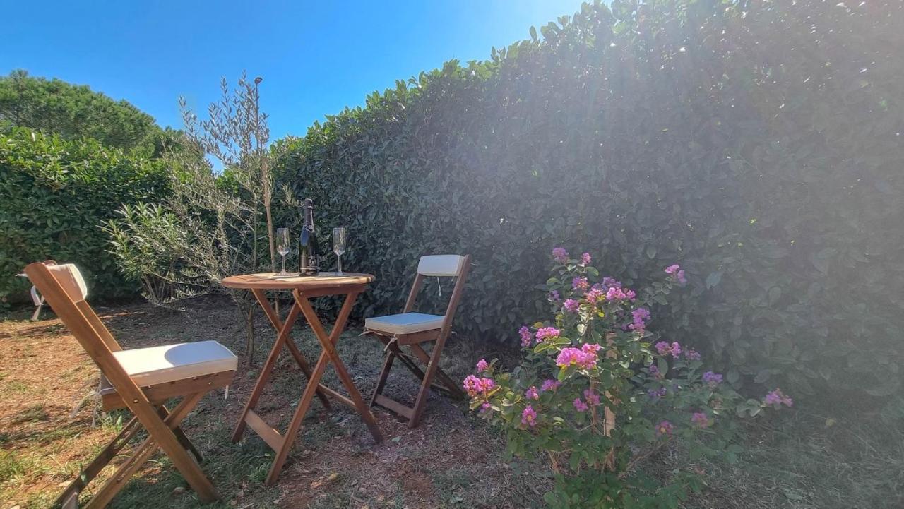 Lea Διαμέρισμα Novigrad Istria Εξωτερικό φωτογραφία